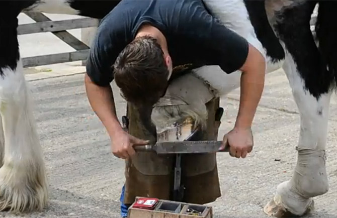 William Hellyer - Cambridge Farrier - Filing