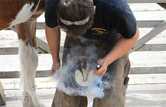 William Hellyer working on a horse shoe