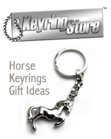 Horse Shoe Keyring
