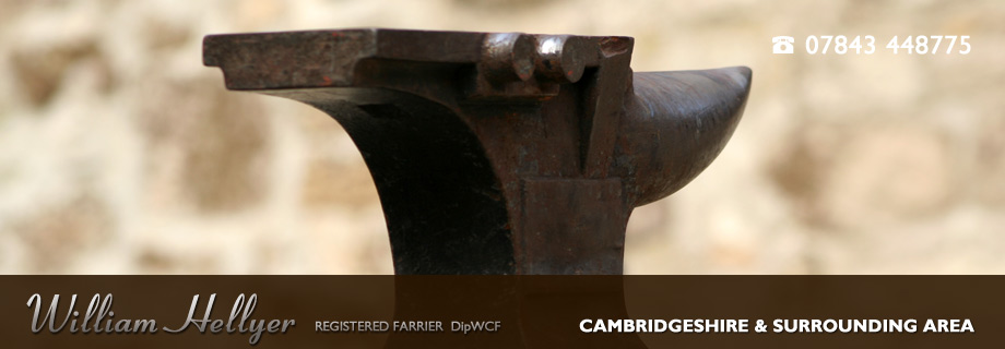 Cambridge Farrier - William Hellyer